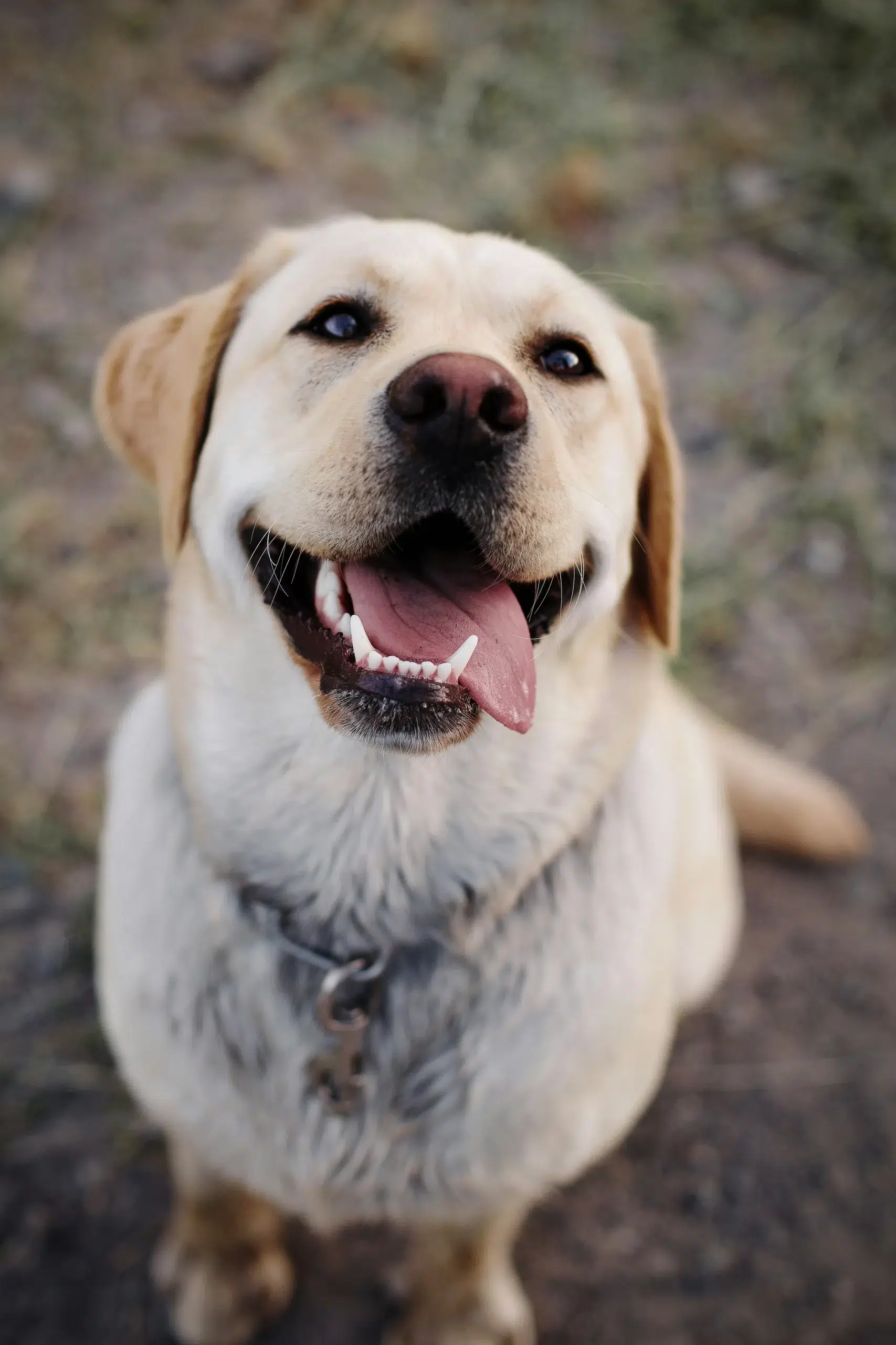My Murphy